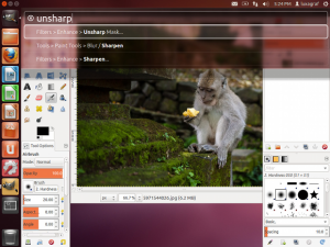 The HUD in Ubuntu 12.04